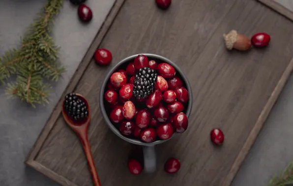 Board, BlackBerry, cranberry