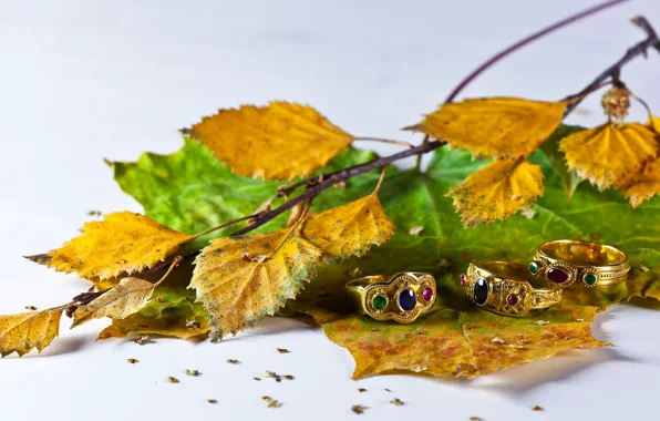 Leaves, decoration, ring