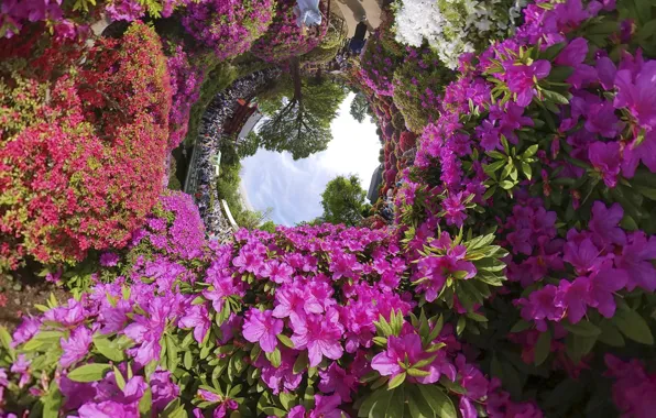 The sky, leaves, clouds, trees, flowers, Park, people, bright