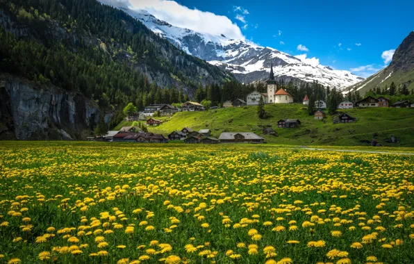 Flowers, mountains, home, Switzerland, village, Alps, meadow, dandelions