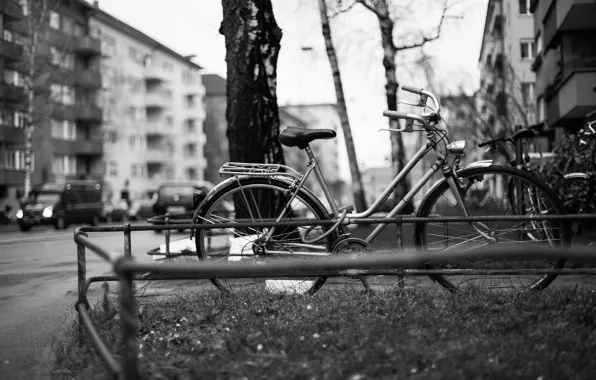 Trees, bike, the city, street, building, cars, apartments, city