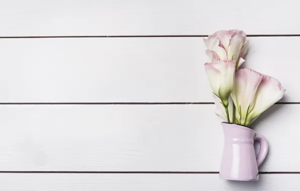 Flower, wood, eustoma, Eustoma