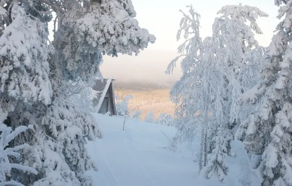 Winter, road, forest, snow, nature, height, mountain, ate