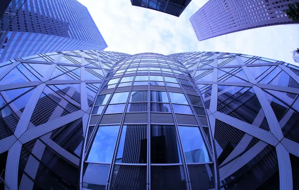 The city, building, architecture