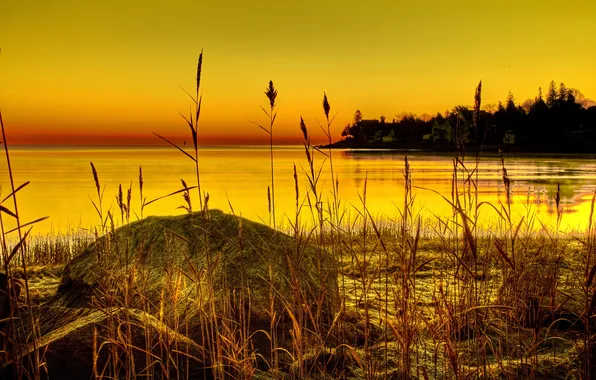 Picture the sky, grass, trees, lake, shore, stone, plant, glow