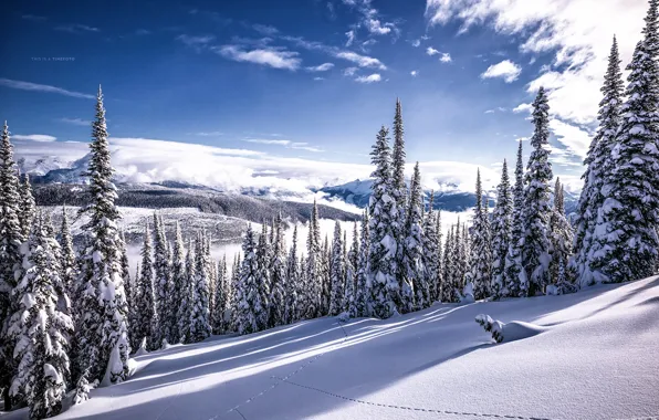 Wallpaper winter, snow, beauty, Canada
