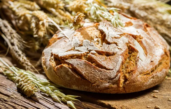 Bread, ears, millet, cakes