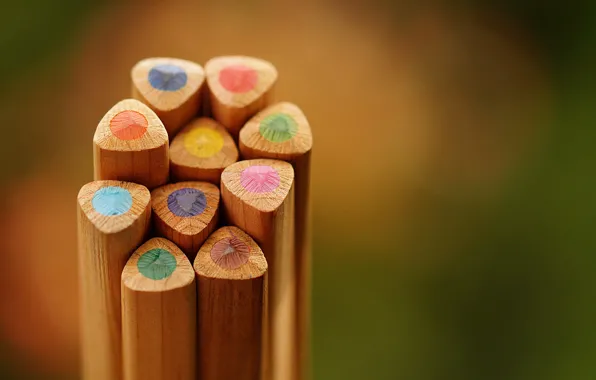 Picture color, pencil, colored pencil