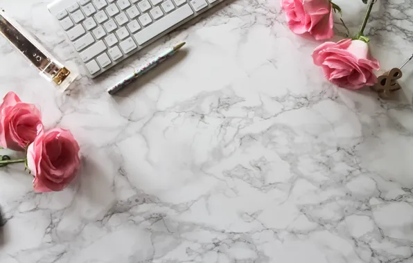 Roses, handle, pink, flowers, roses, keyboard, marble, stapler