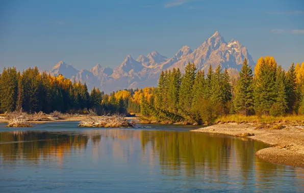 Picture autumn, trees, mountains, river, Wyoming, USA, Grand Teton