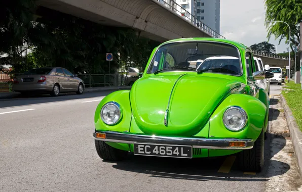 Green, beetle, Volkswagen Beetle