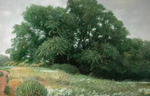 Grass, trees, path, Aibek Begalin, Two thousand nine, Spassk