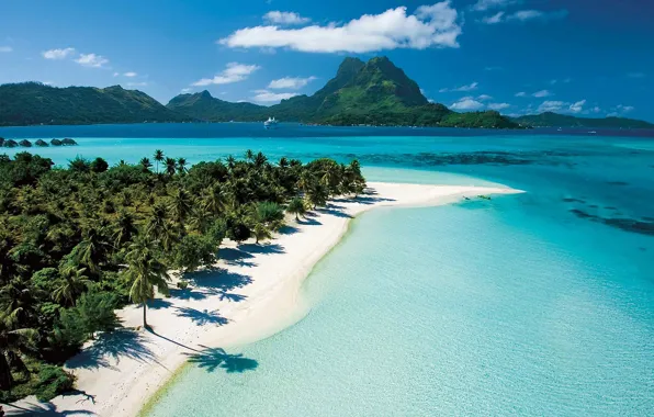 Picture beach, palm trees, exotic, Tahiti