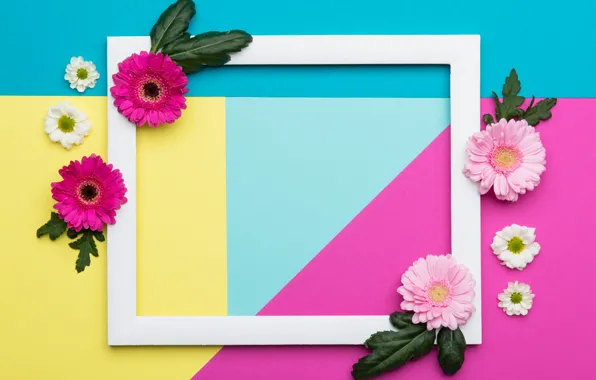 Leaves, line, flowers, yellow, background, pink, holiday, blue