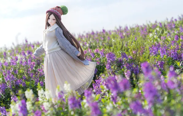 Flowers, doll, dress, meadow