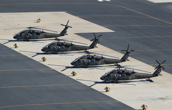 Picture helicopter, the airfield, multipurpose, Black Hawk, "Black Hawk", UH-60A