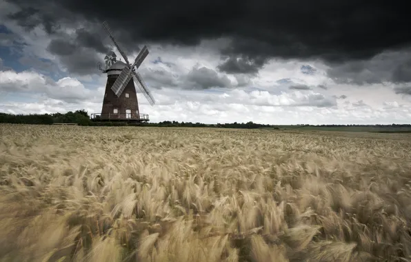 Storm, windmill, wind, wheat, countryside, wheat field, farmland