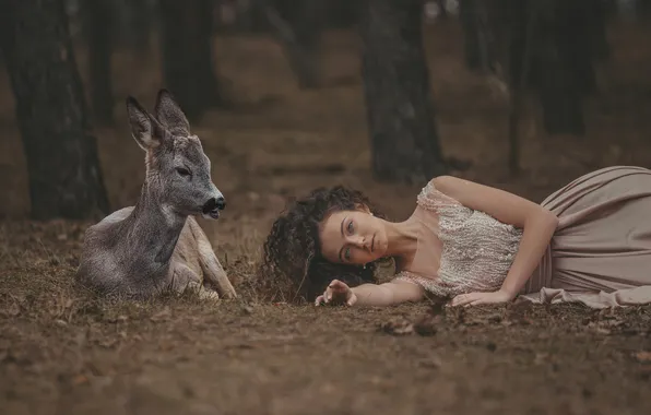 Forest, look, girl, trees, Park, glade, the situation, deer