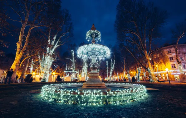 Picture trees, night, lights, home, area, lights, fountain, garland