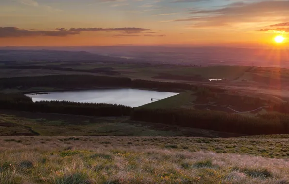 Field, forest, the sun, sunset, lake