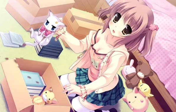 Chest, look, girl, room, bed, kitty, art, yukie