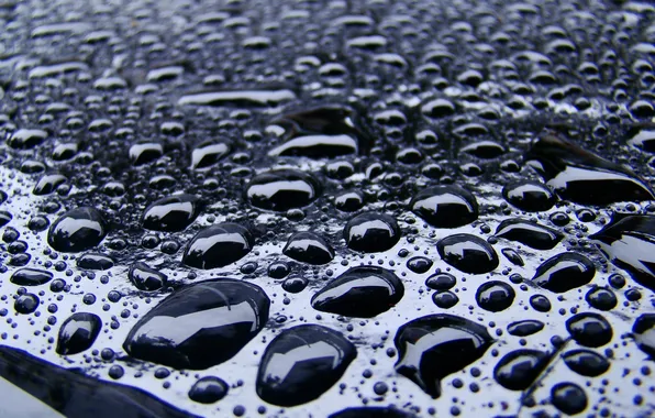 Rain, black, Shine, Drops, the reflection