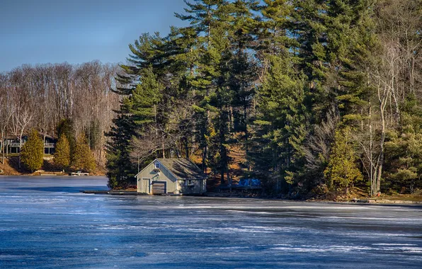 Trees, nature, Canada, Ontario, house, Kawartha Lakes, lake head