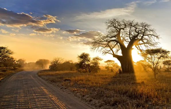 Road, landscape, morning, Africa