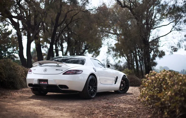 White, white, SLS AMG, Mercedes Benz, rear view, wing, Mercedes Benz, trees sky
