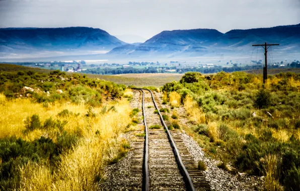 Picture field, summer, nature, railroad