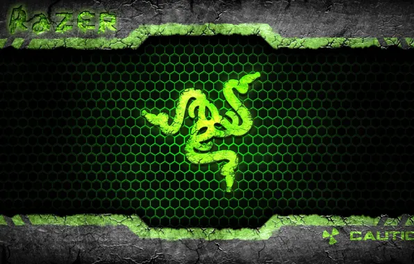 Picture snakes, the inscription, icon, brand, razer