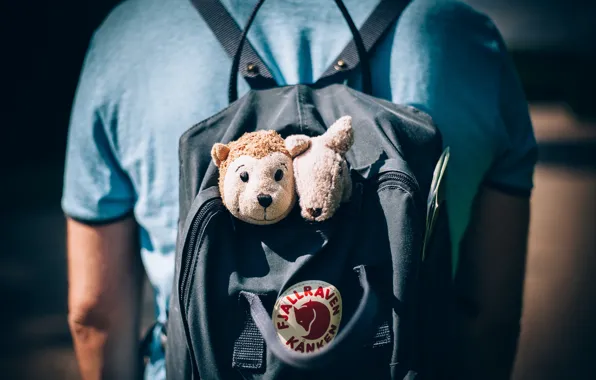 Picture back, backpack, soft toys