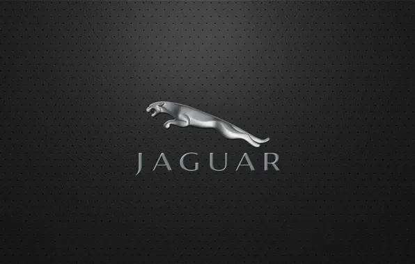 Picture Jaguar, company, jaguar, British, automotive
