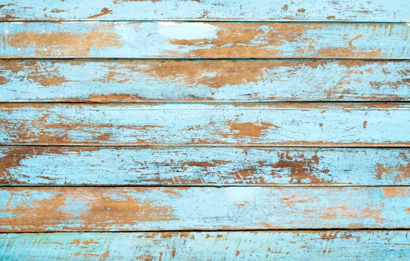 Picture background, tree, Board, vintage, wood, texture, blue, background