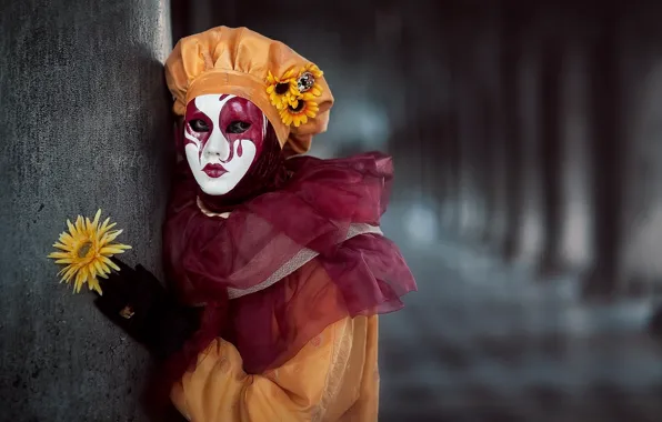 Carnival, Model, costume, The carnival of Venice