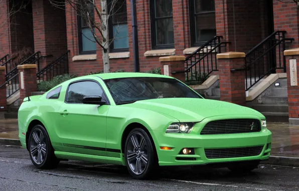 Picture rain, street, green, Ford Mustang GT, salad