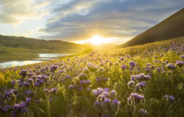 The sun, clouds, flowers, mountains, hills, shore, the slopes, meadow