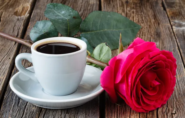 Flowers, coffee, roses