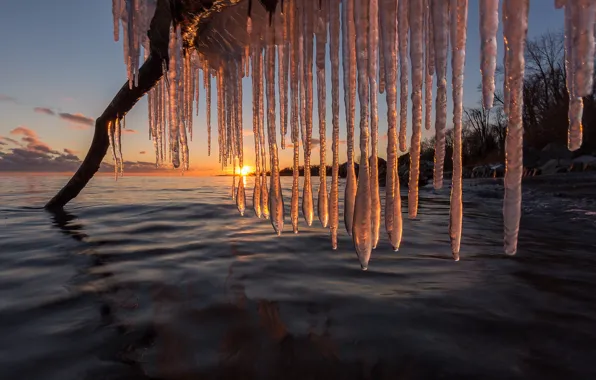 Winter, sunset, lake, icicles, Canada, snag, Canada, Lake Ontario