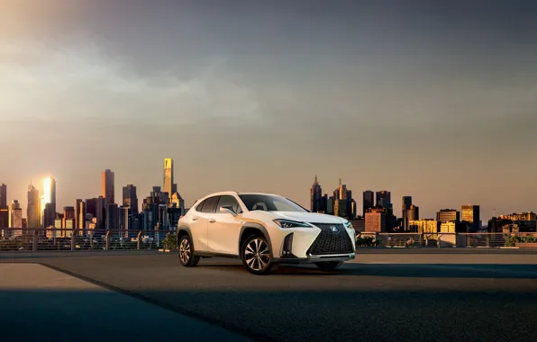 The city, Lexus, SUV, LEXUS, 2019, LEXUS UX