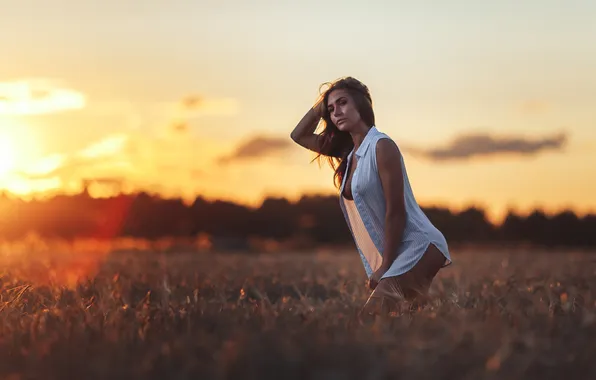 Field, chest, look, the sun, sunset, sexy, pose, model