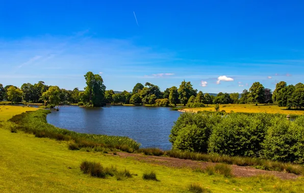 Picture greens, the sky, grass, the sun, clouds, trees, pond, Park