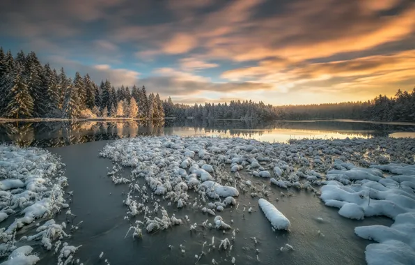 Winter, forest, snow, lake, Switzerland, Switzerland, Canton of Jura, the Canton of Jura