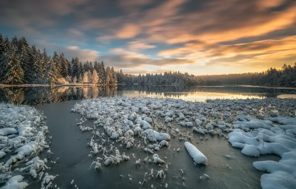 Picture winter, forest, snow, lake, Switzerland, Switzerland, Canton of Jura, the Canton of Jura