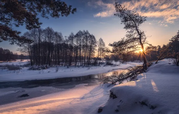 Picture winter, snow, trees, sunset, river