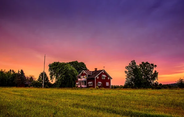 Field, trees, sunset, house, farm