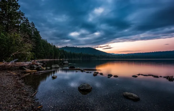 Picture forest, nature, lake, reflection, the evening