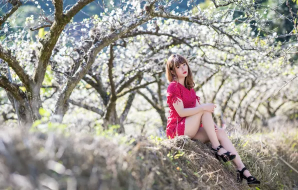 Picture girl, spring, garden