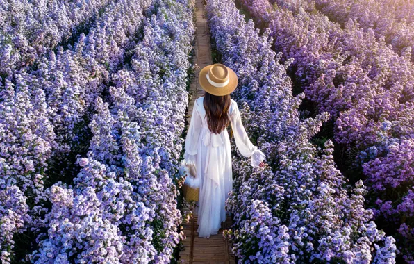 Field, girl, flowers, back, hat, dress, brown hair, walk