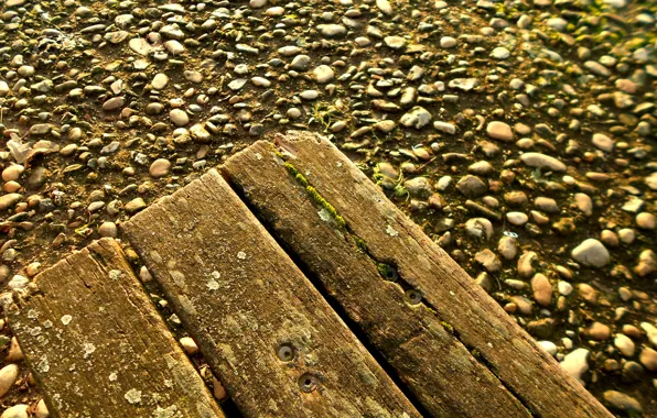Board, moss, pebbles, on earth